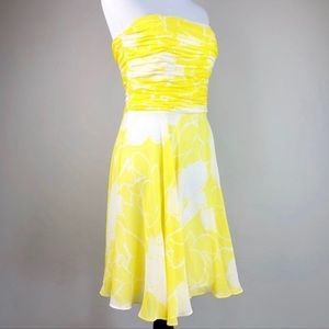 GORGEOUS CHIFFON BANANA REPUBLIC DRESS